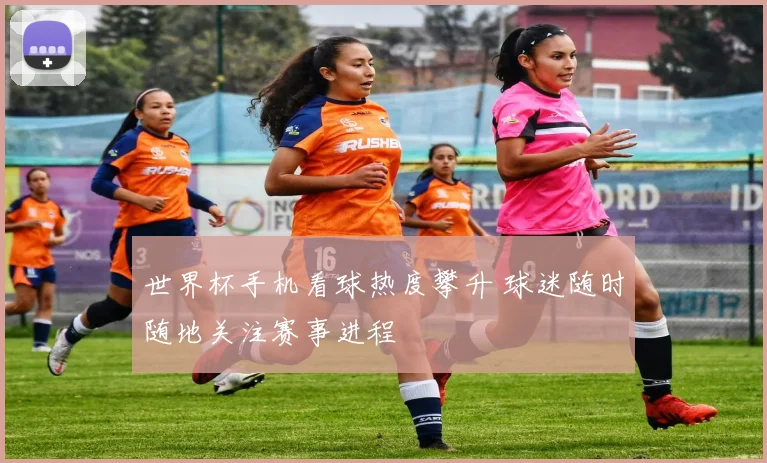 世界杯手机看球热度攀升 球迷随时随地关注赛事进程