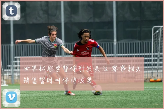 世界杯彩票暂停引发关注 赛事相关销售暂时叫停待恢复