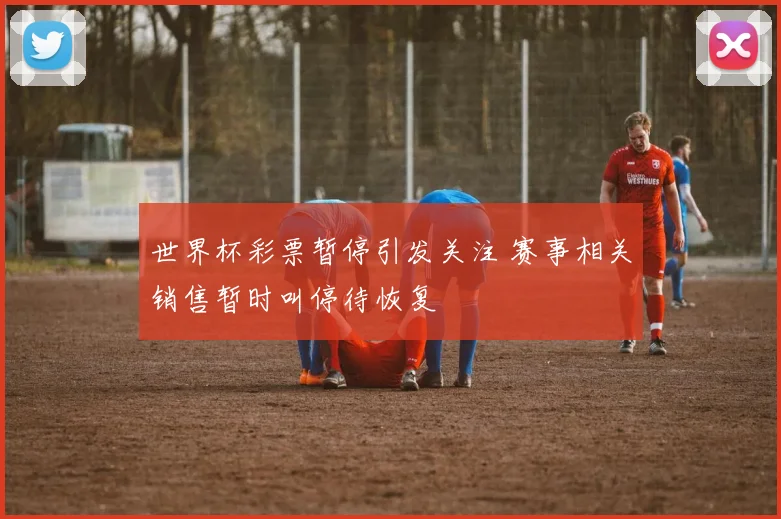 世界杯彩票暂停引发关注 赛事相关销售暂时叫停待恢复